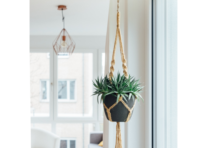 Hanging Flower pot