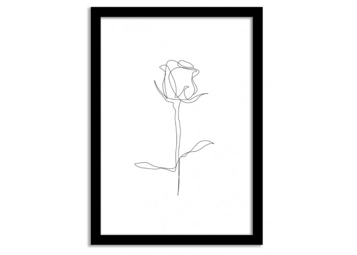 Line Art Framed Print - Rose