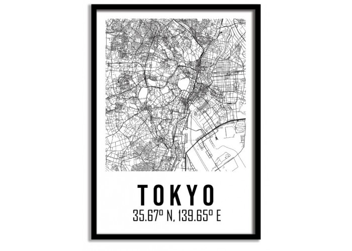 Tokyo Map